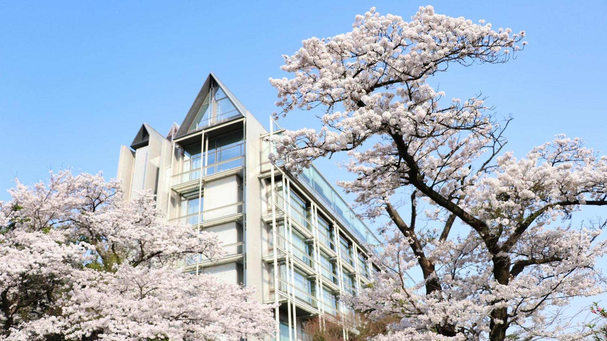 Kikusuitei Higashimurayama Экстерьер фото