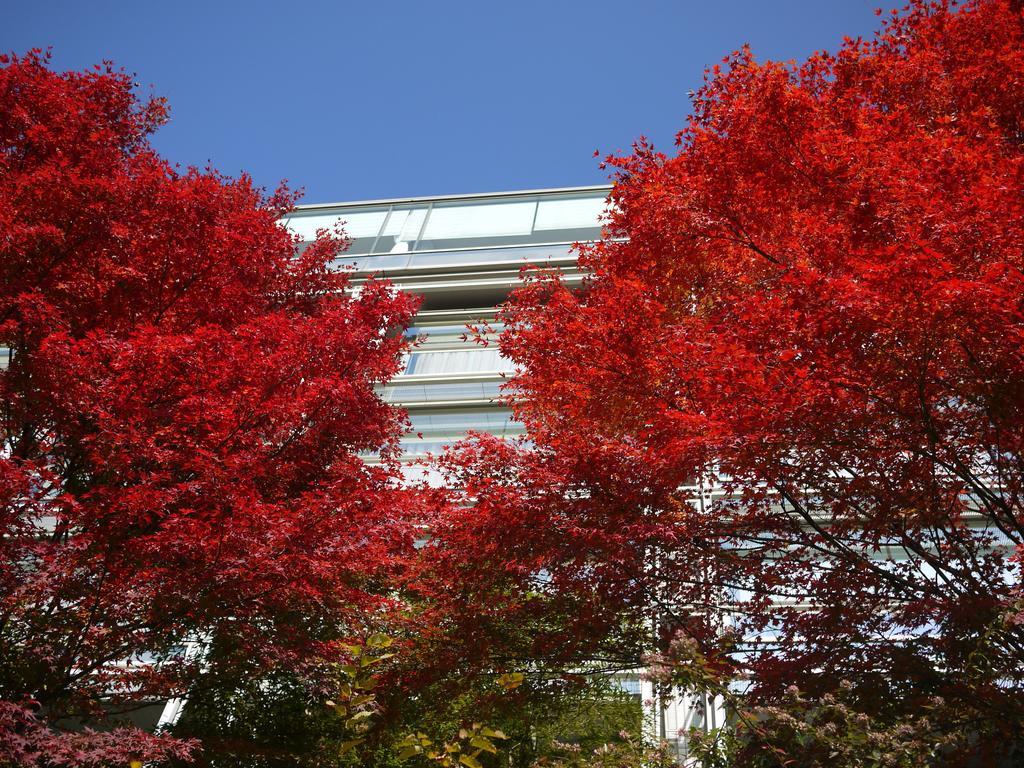 Kikusuitei Higashimurayama Экстерьер фото